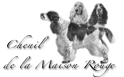 Logo du Chenil de la Maison rouge, avec la tête d'un cocker spaniel anglais, celle d'un springer spaniel anglais et un springer spaniel anglais au statique