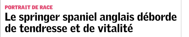 manchette du journal Terre & Nature du 7 septembre 2017